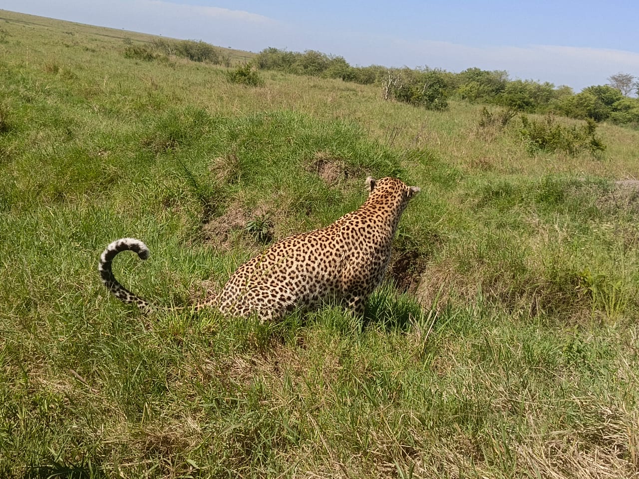 Our team in the savanna